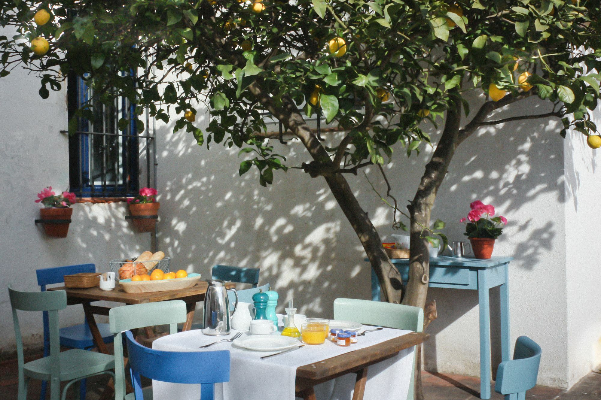 Hotel Casa Calella Calella De Palafrugell Eksteriør bilde